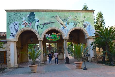Monte Casino Bird Park Entrance - A Feathered Paradise Awaits